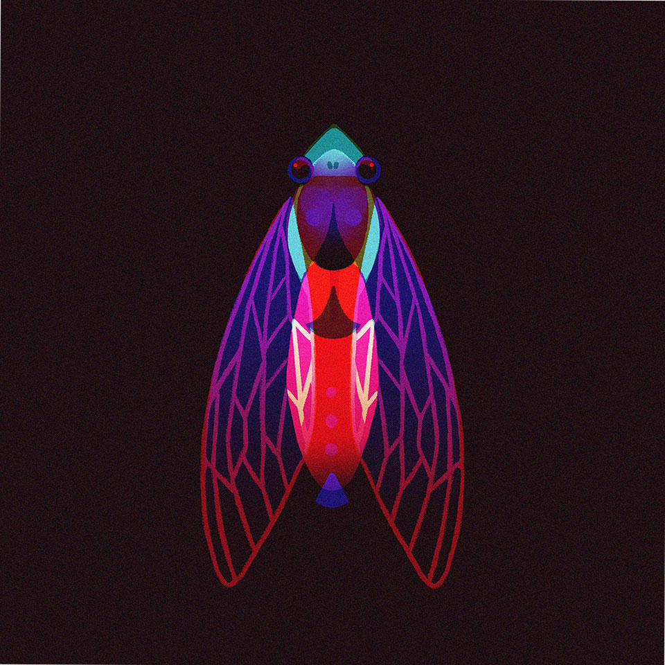 n/a
