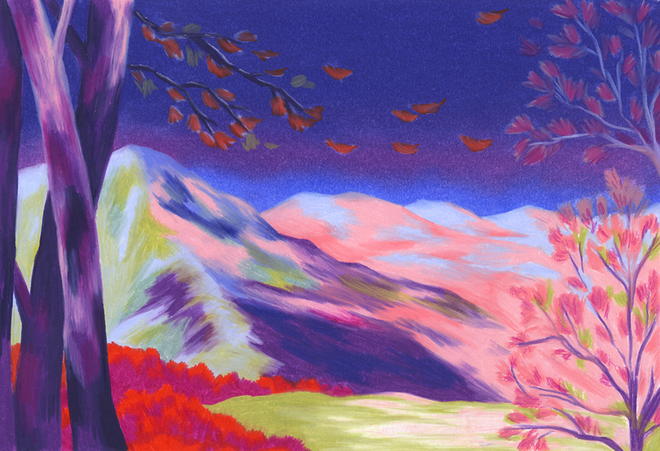 n/a