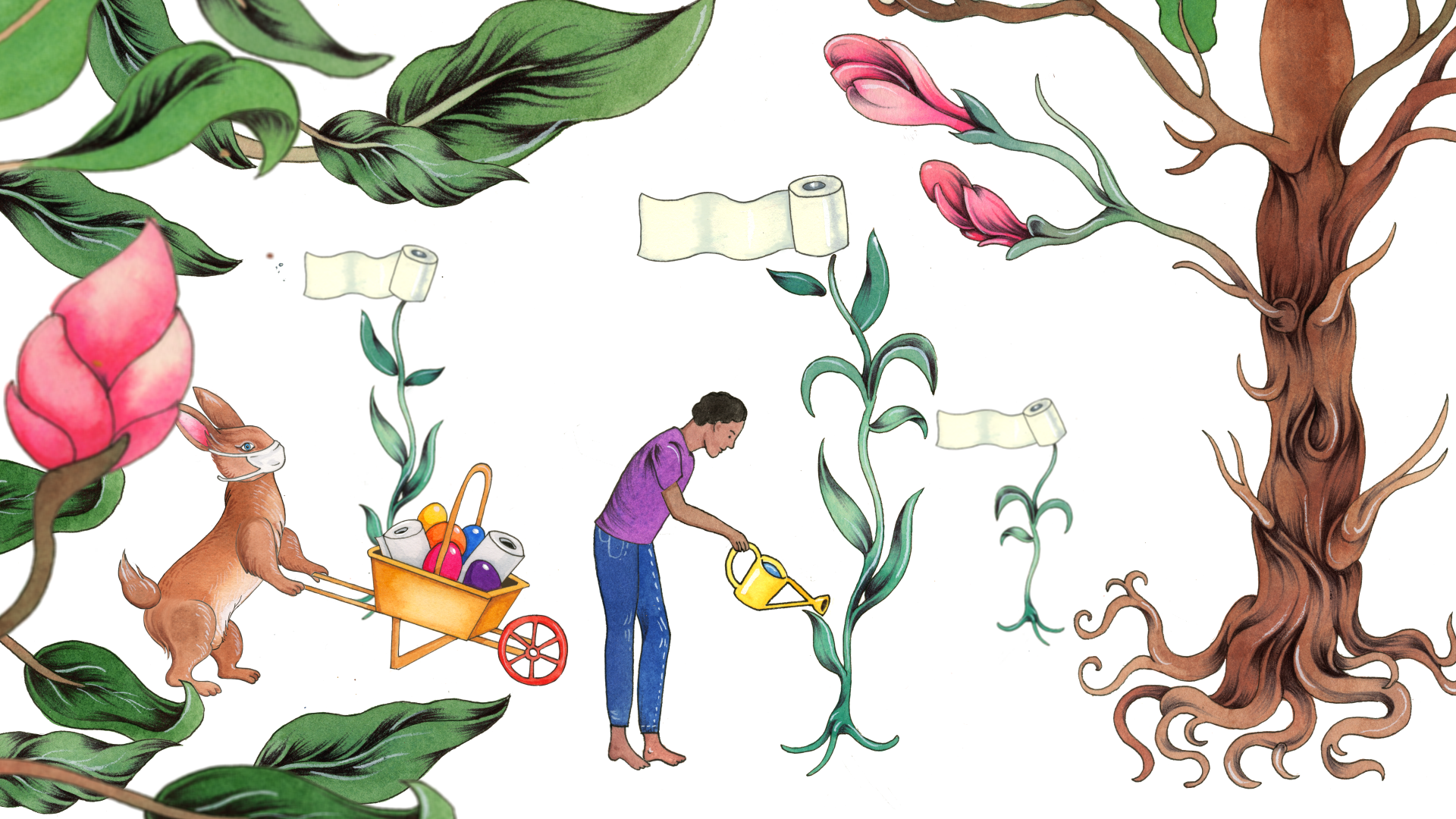 n/a